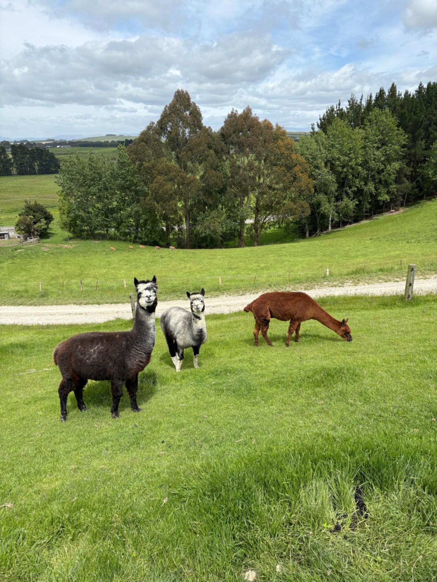 The Shepherd'S Rest Oamaru Eksteriør bilde